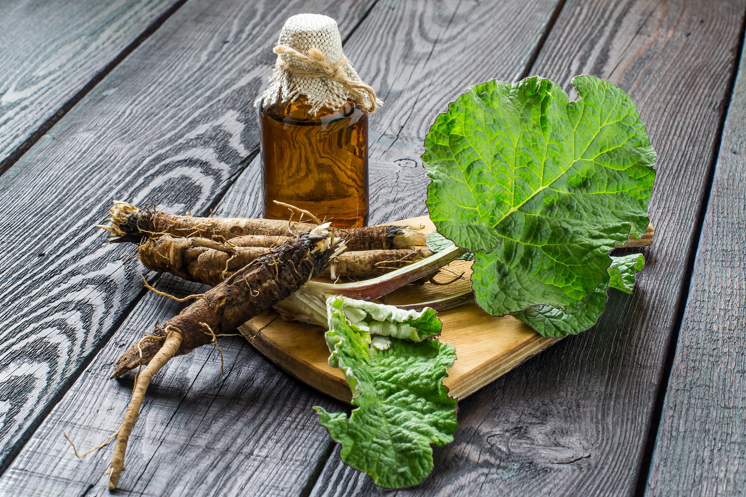 phytotherapie pharmacie de l houmeau